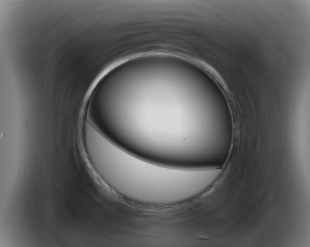 X0000085281530200703090926