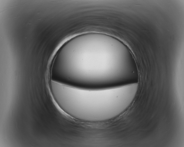 X0000085281531200703090926