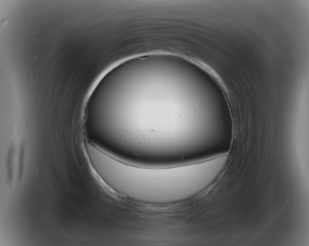 X0000085281532200703090926