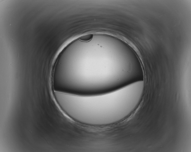 X0000085281533200703090926