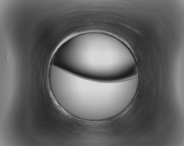 X0000085281534200703090926