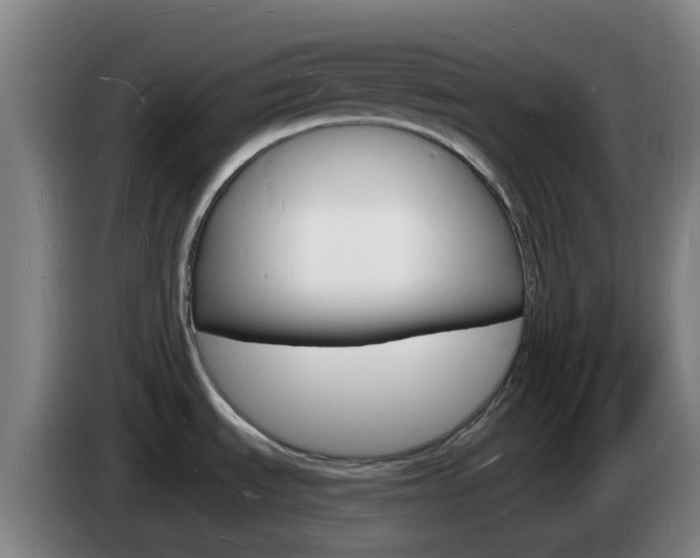 X0000085281535200703090926