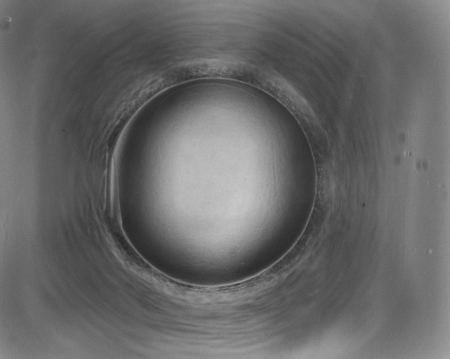 X0000085280022200703091429
