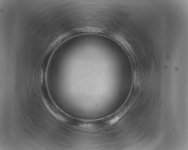 X0000085280157200703091427