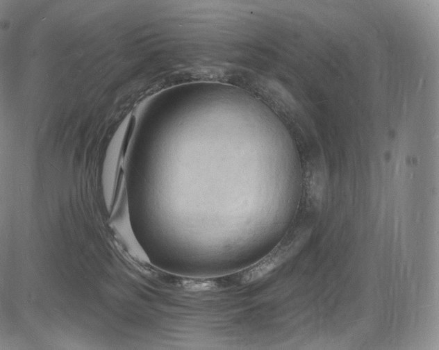 X0000085280185200703091427