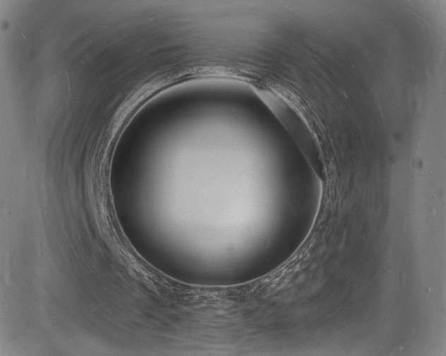 X0000085280289200703091425