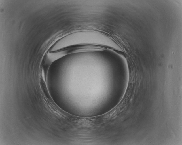 X0000085280290200703091425