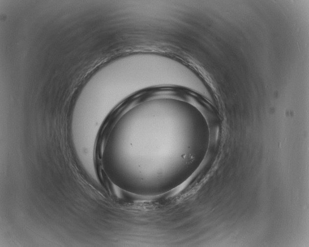 X0000085280305200703091424