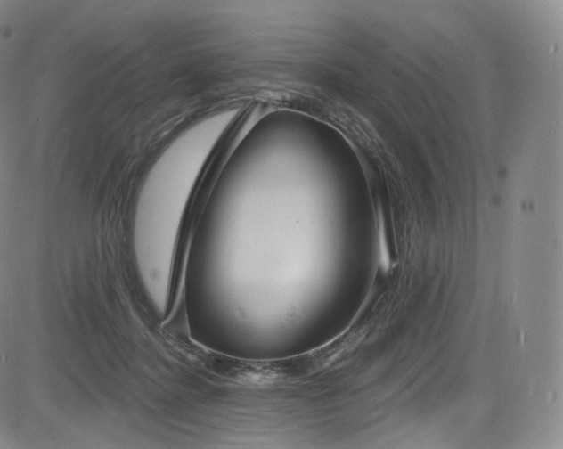 X0000085280364200703091424