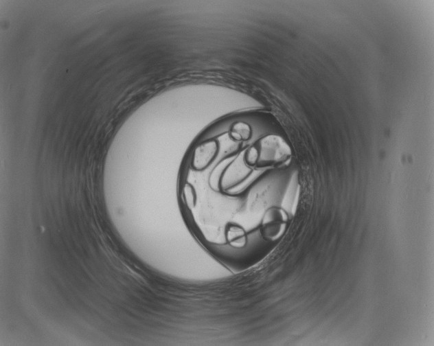 X0000085280558200703091420