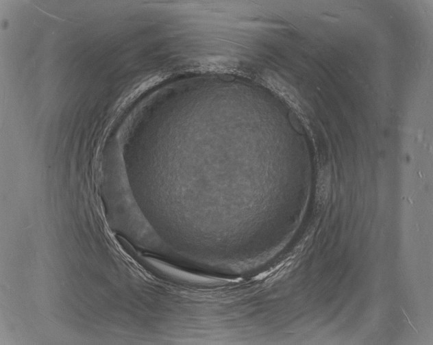 X0000085280673200703091418
