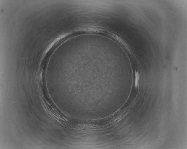 X0000085280723200703091417