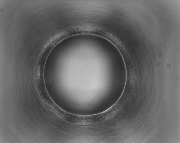 X0000085280731200703091417