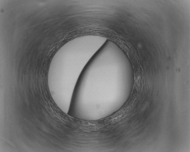 X0000085280772200703091417
