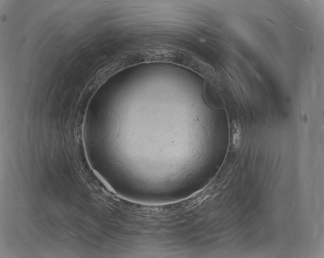 X0000085280819200703091415