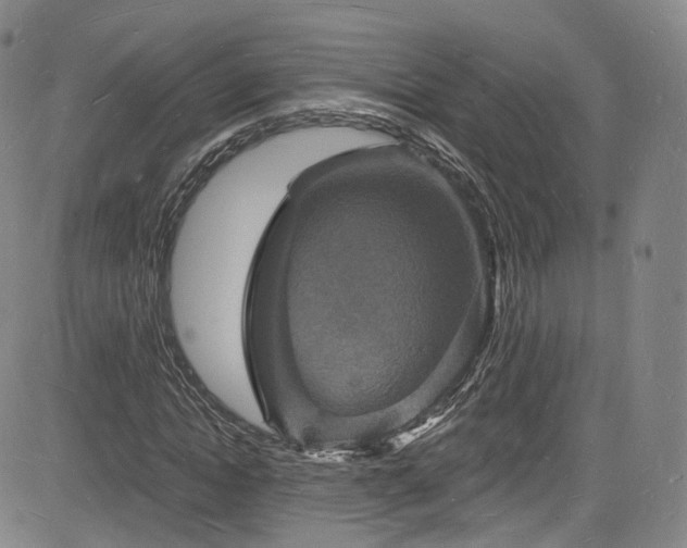 X0000085280822200703091415