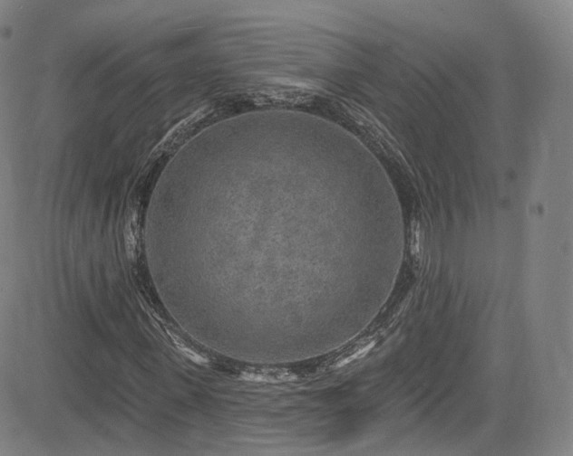 X0000085280915200703091413