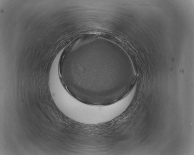 X0000085280916200703091413