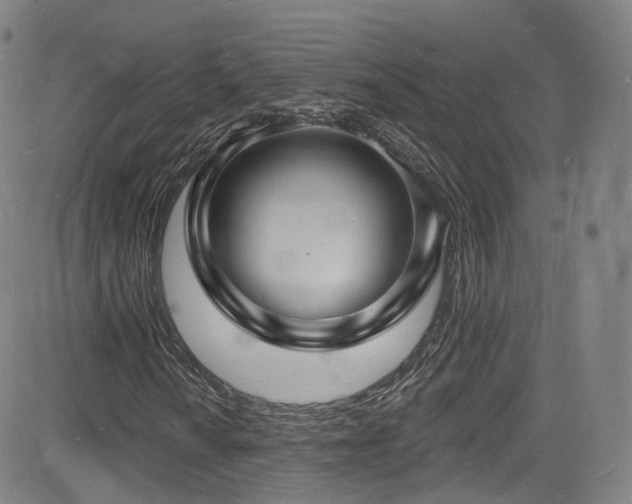 X0000085281010200703091412