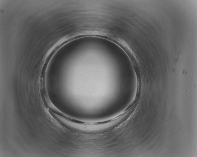 X0000085281181200703091410
