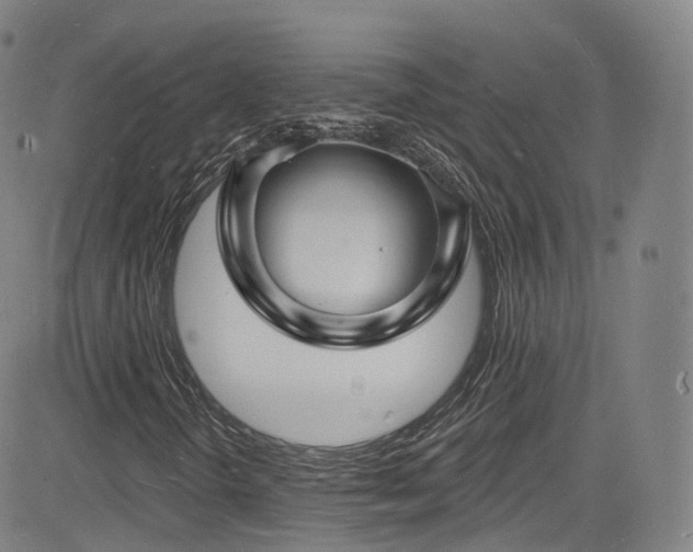 X0000085281298200703091407