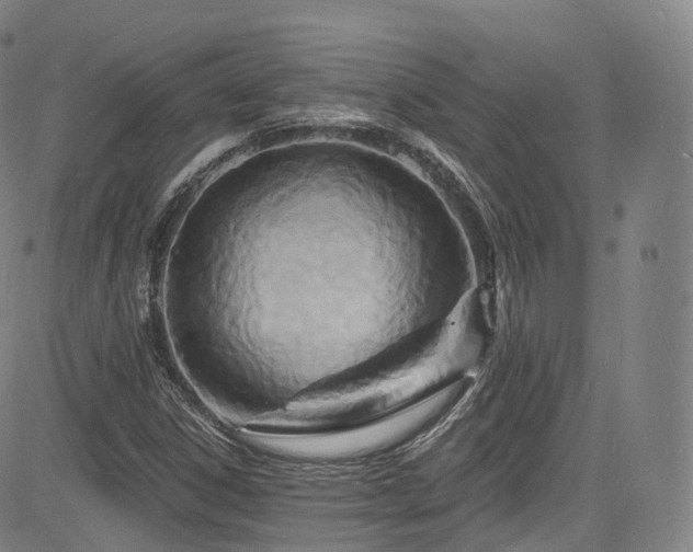X0000085281306200703091407