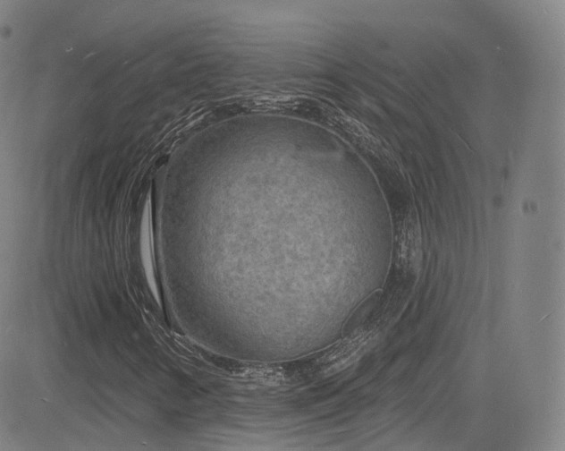 X0000085281346200703091407