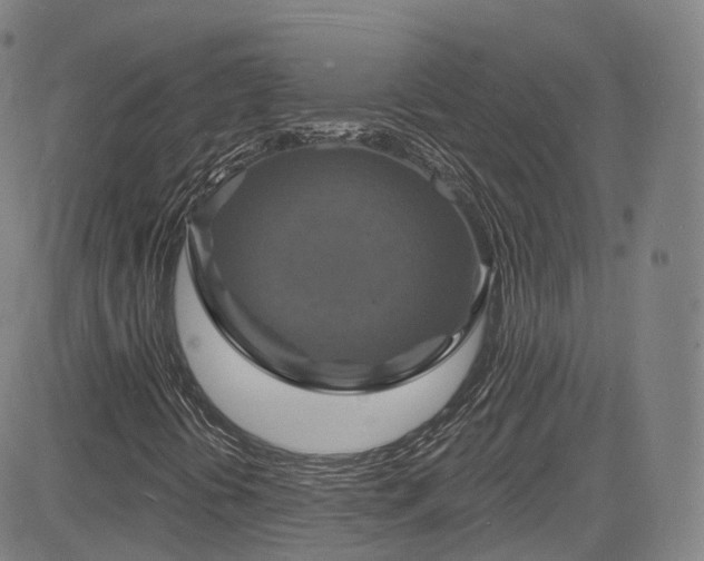 X0000085281394200703091405