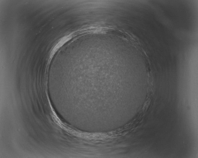 X0000085280003200703161436