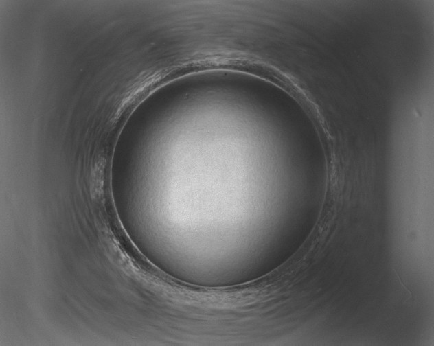 X0000085280010200703161436