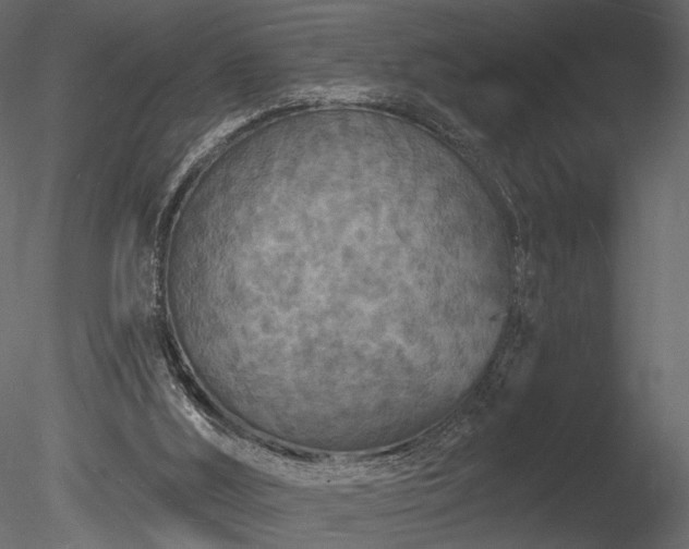 X0000085280012200703161435