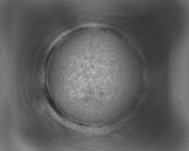 X0000085280016200703161435