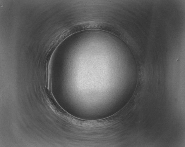 X0000085280022200703161435