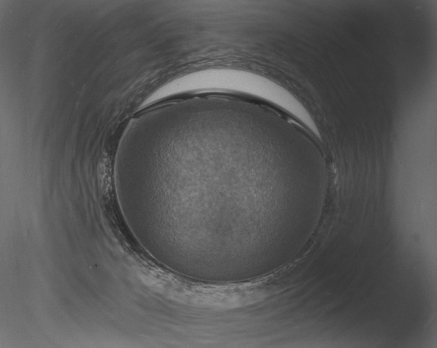 X0000085280029200703161435