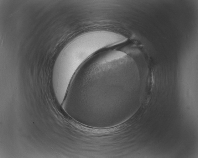 X0000085280031200703161435
