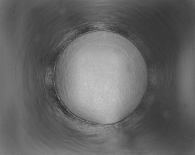 X0000085280036200703161435
