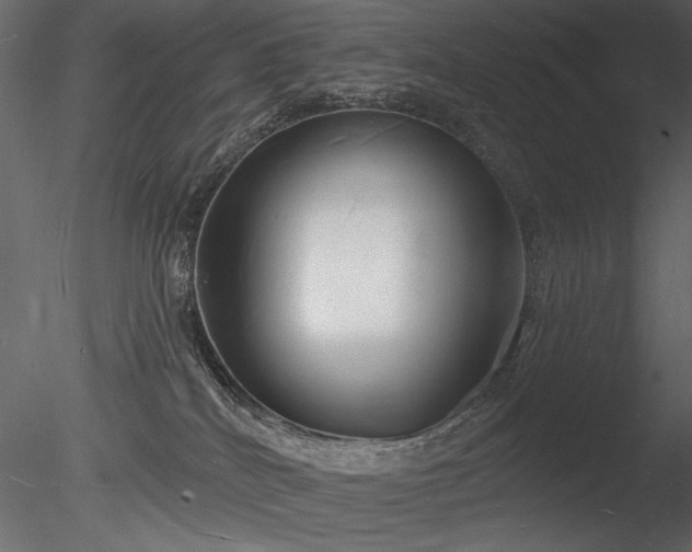 X0000085280040200703161435