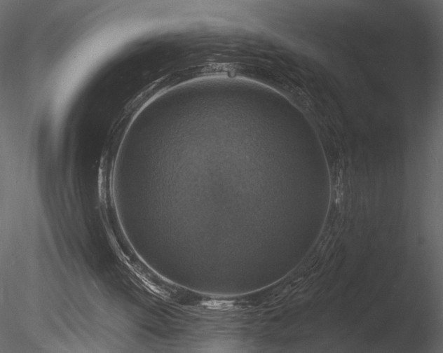 X0000085280052200703161434