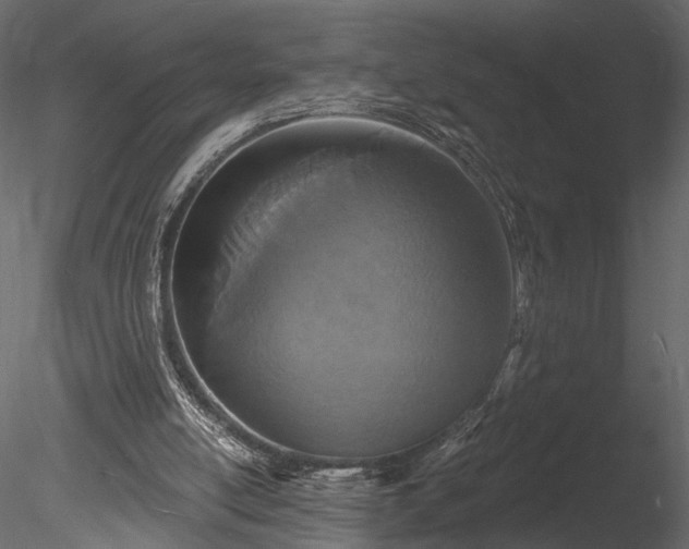 X0000085280054200703161434