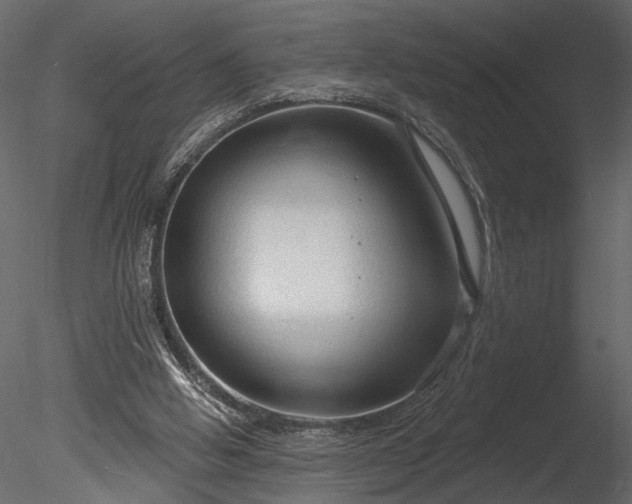 X0000085280058200703161434