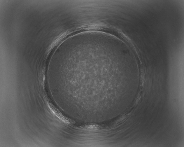X0000085280059200703161434