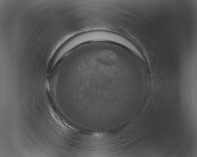 X0000085280060200703161434