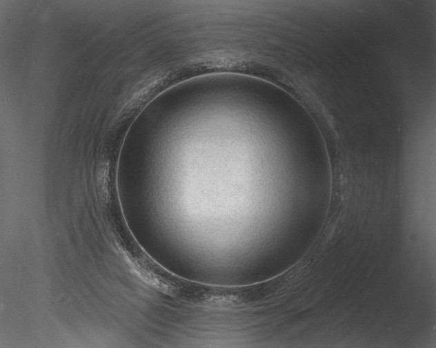 X0000085280066200703161434