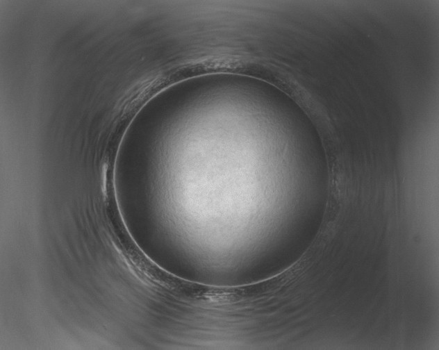 X0000085280070200703161434