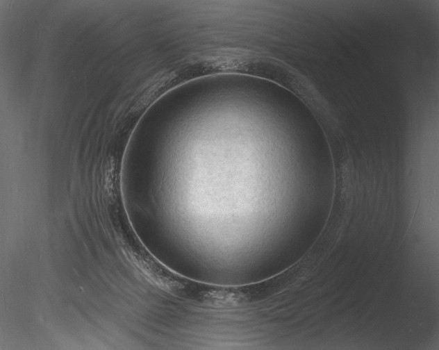 X0000085280073200703161434