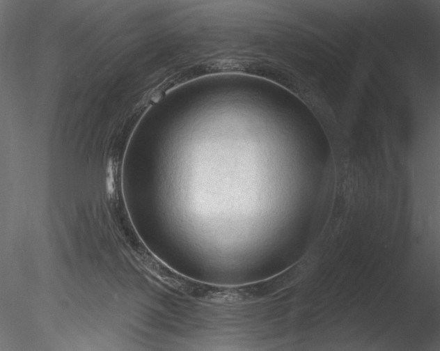 X0000085280075200703161434