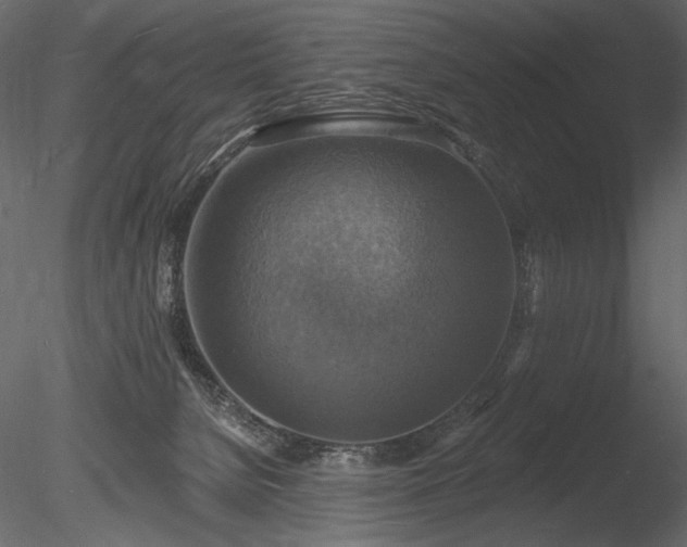 X0000085280080200703161435