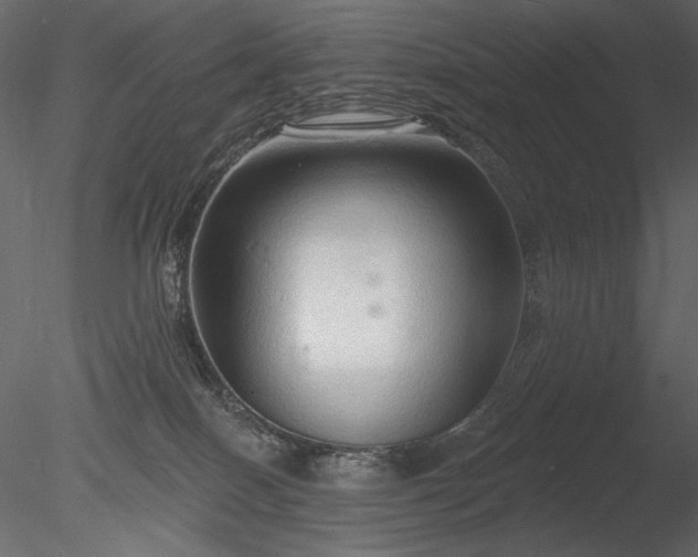 X0000085280086200703161435