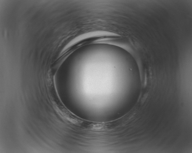 X0000085280088200703161435