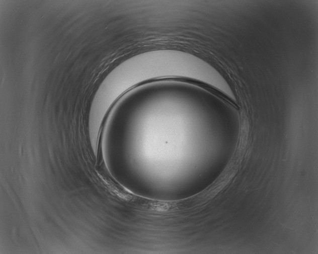 X0000085280096200703161435